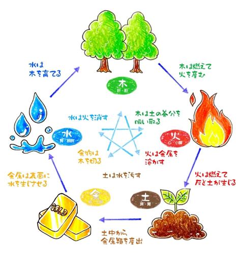 陰陽道|【陰陽道とは】思想的な特徴から展開の歴史までわか。